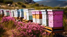 There Are Many Beautiful Colorful Painted Wooden Bee Hives In Beautiful Nature With Flowers. Beekeeping, Apiary In Summer.
