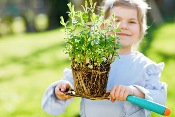 Wall Mural - Close-up of little toddler girl holding garden shovel with green plants seedling in hands. Cute child learn gardening, planting and cultivating vegetables herbs in home garden. Ecology, organic food.