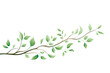 green branch isolated vector illustration