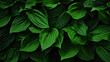 tropical jurassic inspired leaves wallpaper