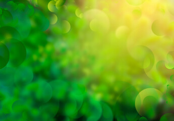 Wall Mural - abstract green bokeh background with sun light and blur bokeh
