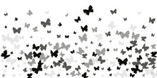 Magic Black Butterflies Abstract Vector Wallpaper. Spring Little Moths. Simple Butterflies Abstract Dreamy Illustration. Gentle Wings Insects Graphic Design. Garden Beings.