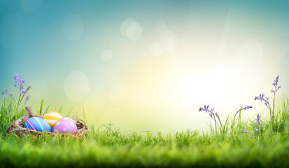 Wall Mural - Three painted easter eggs in a birds nest celebrating a Happy Easter on a spring day with a green grass meadow with bluebells and blurred grass foreground and bright sunlight background