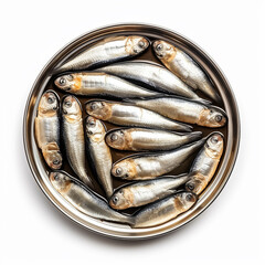 Tinned Fish isolated on a white background is in the top view