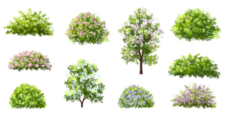 Wall Mural - vector watercolor blooming flower tree or forest side view isolated on white background for landscap