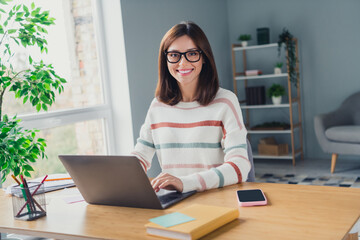 Poster - Photo of charming cheerful company executive sit chair use netbook desk office business center indoors