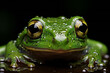 green frog on a leaf,close-up,ai generated