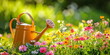 Banner orange watering can in the garden among the herbs in sunny weather with flower. Concept template for spring time, caring for the garden and country life with copy space