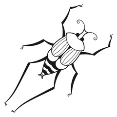 Wall Mural - Beetle black line icon. Bug insect drawing