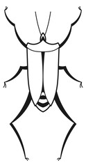 Stinkbug line icon. Black ink beetle drawing