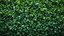 Die-cut Artwork And Green Grass Wall Texture For Environmental Walls And Backdrop Designs, Generative AI.