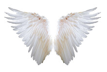 White Angel Wing Isolated On White Or Transparent Background, PNG