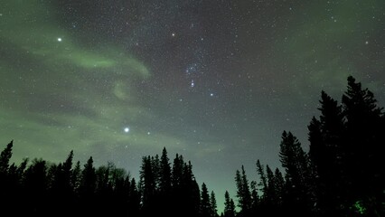 Wall Mural - time lapse of the night sky above a forest landscape. the stars slowly move and thin clouds drift th