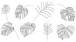 © ARTSTOK - Set of hand drawn tropical leaves. Black and white absrast illustration collection.