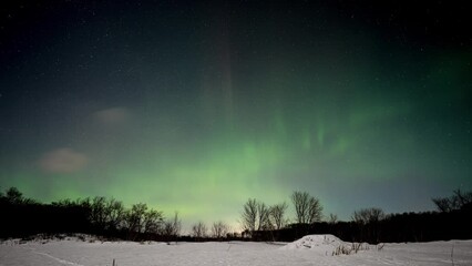Wall Mural - aurora flashing above a frozen beaver pond. the sky is full of stars. clouds drift across the night 