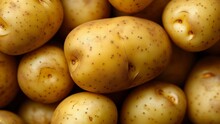 Potatoes Close-up, Texture, Pattern Or Background