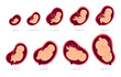 Pregnancy stages. Fetal foetus development process, human embryo growth for nine months, medical education and health, reproduction gynecology poster, cartoon isolated garish vector set