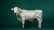 Weiße Kuh vor grünem Hintergrund. Profil. Illustration