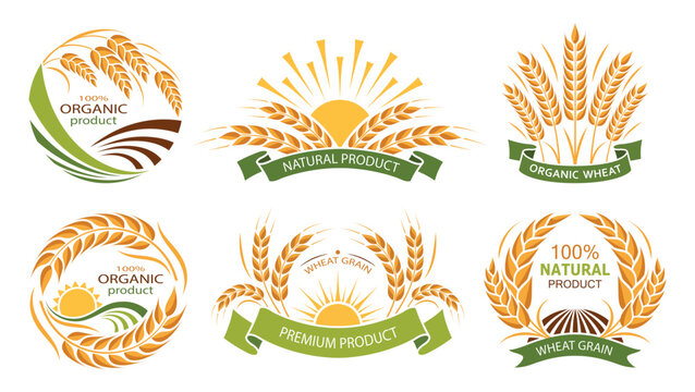 wheat ears icons. set of vector organic product labels. grain, ear of wheat and wreath. organic whea