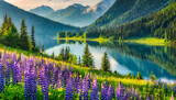 Fototapeta  - Fioletowy łubin nad jeziorem w górach, krajobraz 
