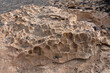 Erosion von Sandstein mit natürlicher löchriger Struktur auf dem Felsen Punta de Guadalupe bei La Pared, Fuerteventura