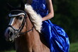 Zwei Schönheiten. Mädchen im blauen Kleid reitet über Blumenwiese