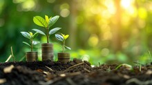 Young Plants On Coin Stacks Against A Blurred Green Background