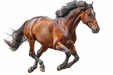 Fototapeta  - Elegance in Motion: Majestic Brown Horse Galloping Gracefully on a Pristine White Background, Generative AI