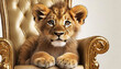 Cute Lion Cub sitting on a golden Grand Edwardian Chair. Close up of the animal while looking at the camera on a royal chair. Wild animals immersed in luxury..