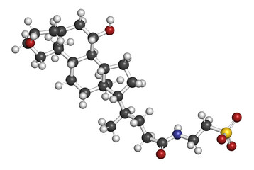 Canvas Print - Tauroursodeoxycholic acid (TUDCA) molecule. Conjugate of taurine and ursodeoxycholic acid. 3D rendering.