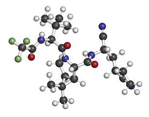 Wall Mural - Nirmatrelvir (PF-07321332) antiviral drug molecule. 3D rendering.