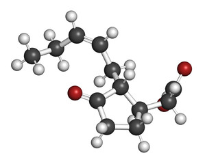 Canvas Print - Jasmonic acid (jasmonate, JA) plant hormone molecule. 3D rendering.