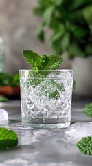 Wall Mural - An expertly crafted cocktail with mint and lots of ice to keep you cool. Alcoholic mint drink in icy aura and refreshing breeze. Drink for hot days.