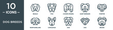 Dog Breeds Outline Icon Set Includes Thin Line Beagle, Pug, Cocker Spaniel, Saint Bernard, Pointer, Newfoundland, Chihuahua Icons For Report, Presentation, Diagram, Web Design