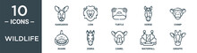 Wildlife Outline Icon Set Includes Thin Line Kangaroo, Lion, Turtle, Horse, Chimp, Shark, Zebra Icons For Report, Presentation, Diagram, Web Design