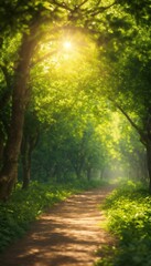  Pathway in the middle of the green leafed trees with the sun shining through the branches