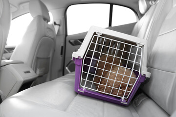 Wall Mural - Cute dog in pet carrier travelling by car. Space for text