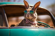 A cool and funky rabbit wearing shades, sunglasses, sunnies and a bow tie, driving an old vintage car through the Australian outback. 
