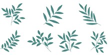 Set Of Doodle Tree Branch Vector Isolated Sticker.