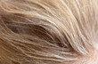 © schankz - White snowflakes on the blonde's hair. Macro
