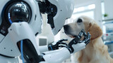 Fototapeta Perspektywa 3d - futuristic medical veterinary robot examining female dog in pet hospital