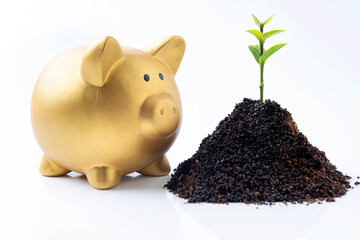 Poster - Piggy bank and newly grown plant seedlings on the soil