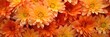 bouquet of orange chrysanthemums closeup