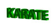 Karate - plakative grüne 3D-Schrift, Kampfsport, Selbstverteidigung, Disziplin, Training, Wettkampf, Tradition, Japan, Karateka,  Körperbeherrschung, Kihon, Kata, Kumite, Rendering