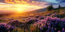 Captivating Panoramic Sunset Over A Field Of Purple Wildflowers And Grass, With The Golden Sun Casting A Vibrant Glow On The Picturesque Landscape