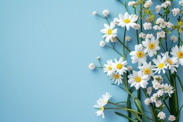 Wall Mural - A bunch of white flowers on a blue surface. Perfect for adding a touch of elegance to any design