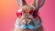 Bunny Boss Sunglasses: A Fashionable Fixture for the Cutest Creatures Generative AI