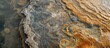 Yellowstone's Aurum Geyser features a detailed limestone pattern.