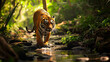 tiger in nature near the river. Selective focus.