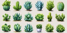 Decorative Illustration Featuring A Variety Of Green Cacti In Pots Creating A Beautiful And Exotic Pattern For Botanical Design.